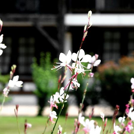 Auberge Des Pins - Teritoria Sabres Eksteriør billede